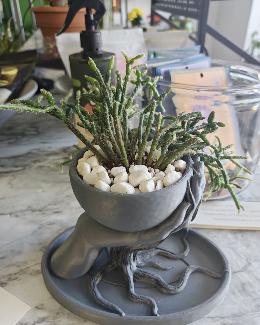 Plant Bar design with a green plant and white stones in a gray hands-shaped planter