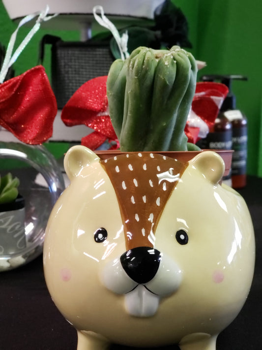 Streamline Imagined Beaver Planter