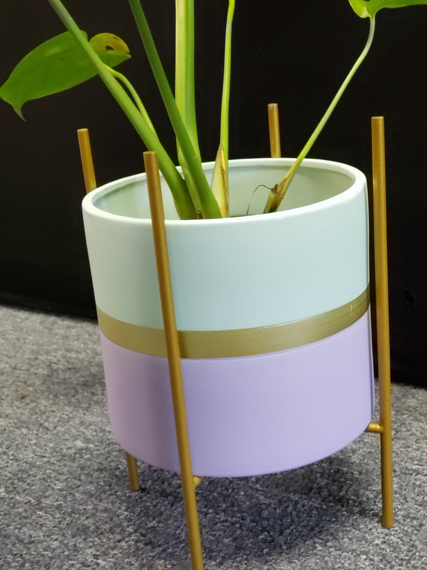 Modernist Planter w/ Gold Pedestal