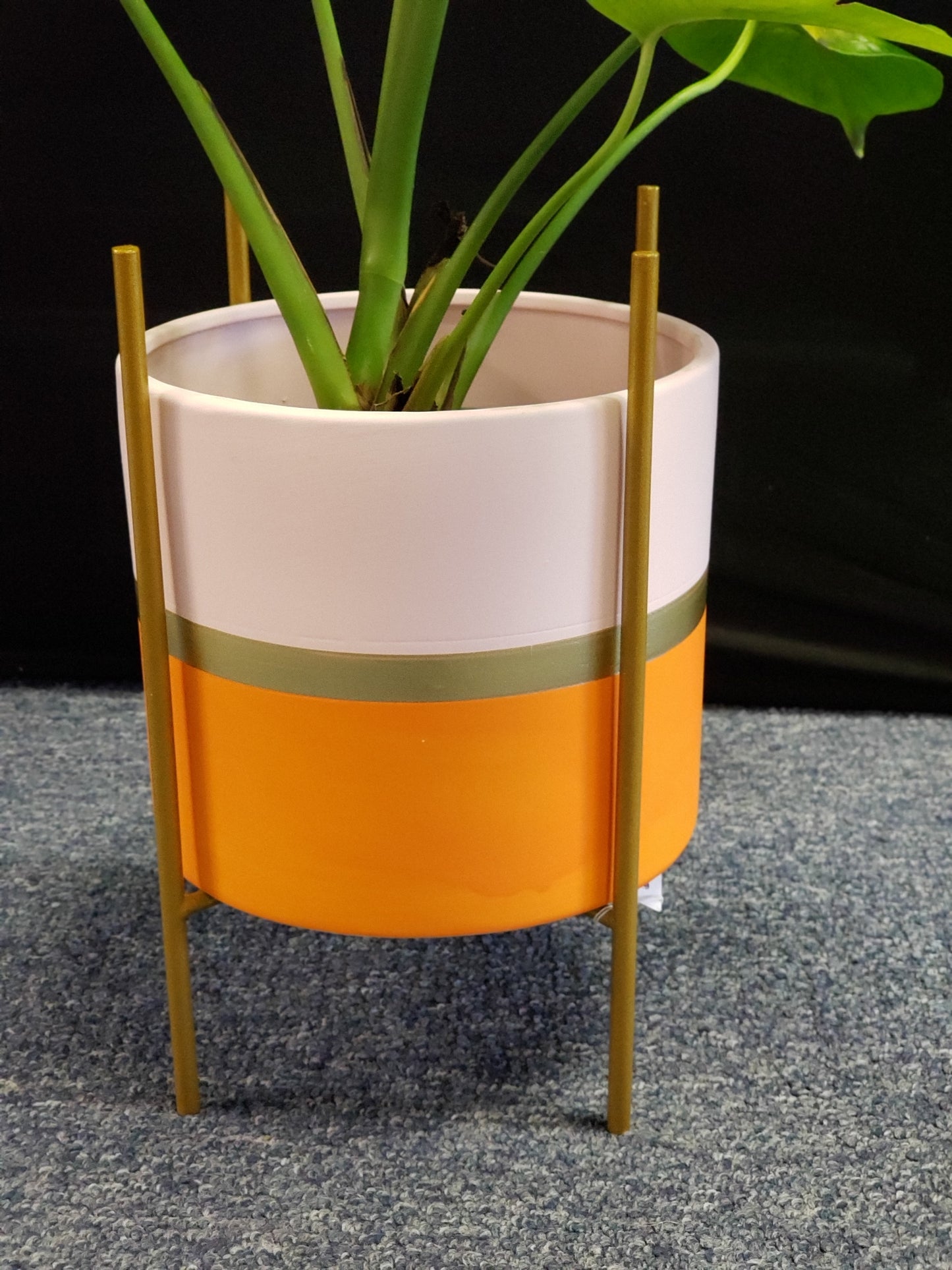 Modernist Planter w/ Gold Pedestal