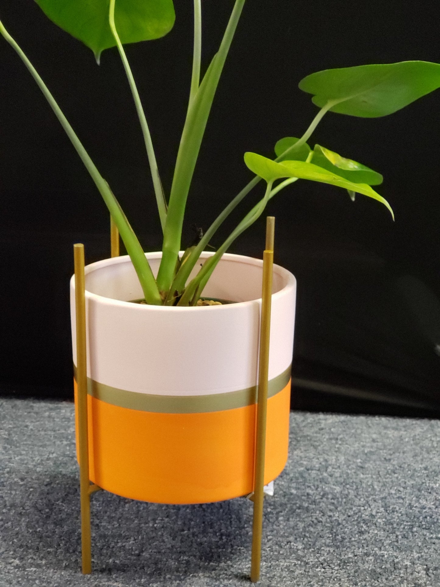 Modernist Planter w/ Gold Pedestal