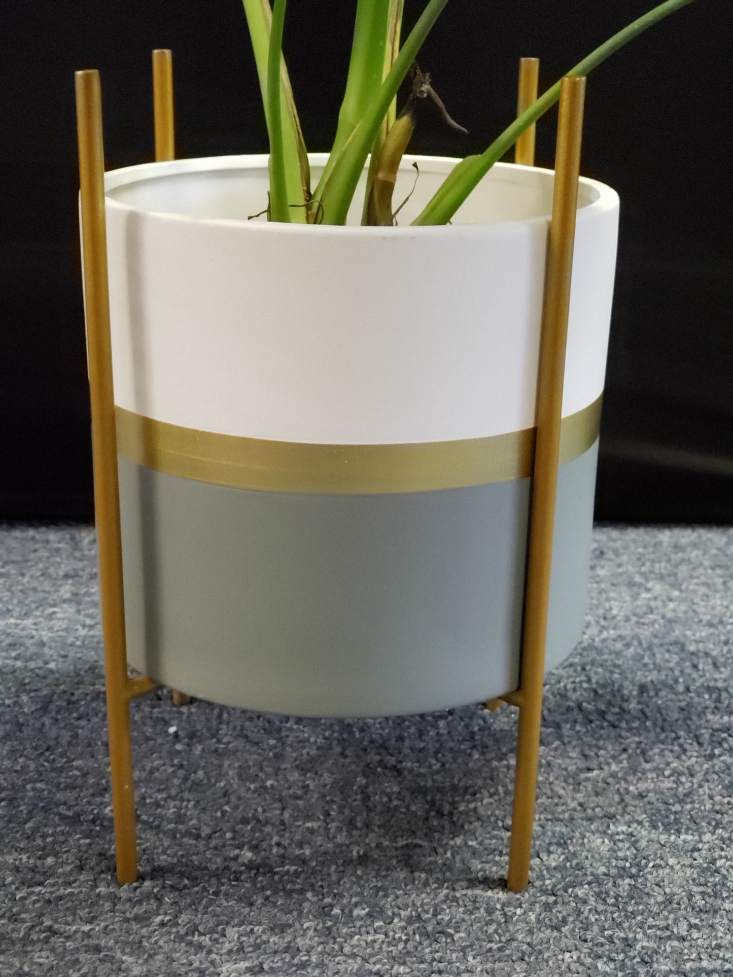 Modernist Planter w/ Gold Pedestal