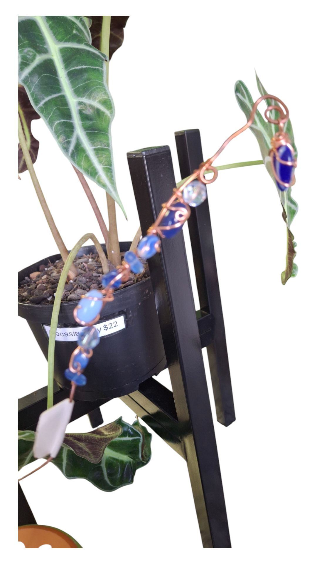 Plant Jewelry Stake