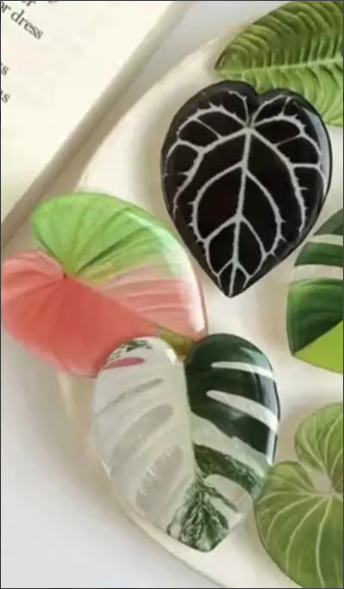 Plant Popsocket phone holder